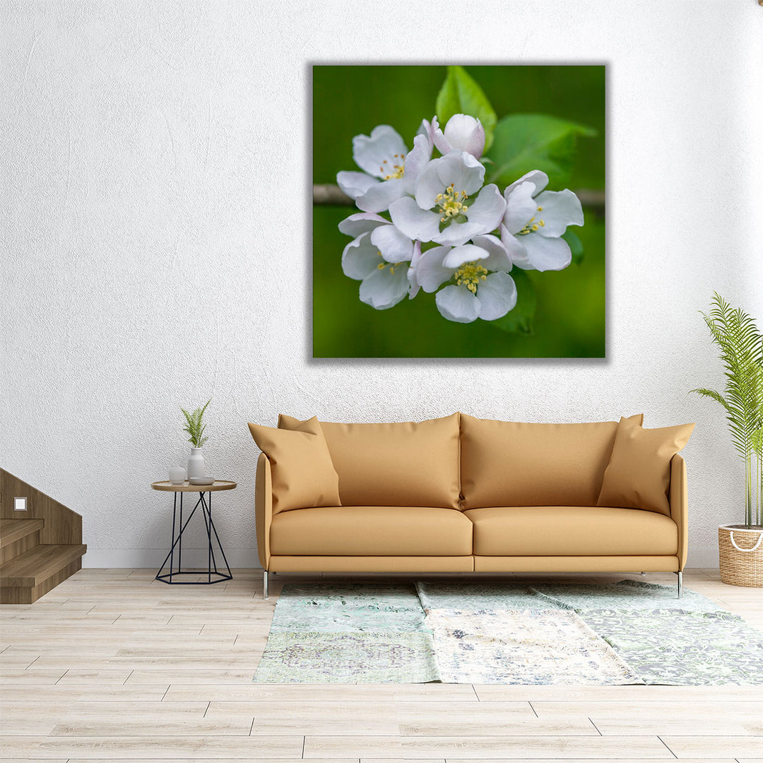 Blossom Flowers - Canvas Print Wall Art