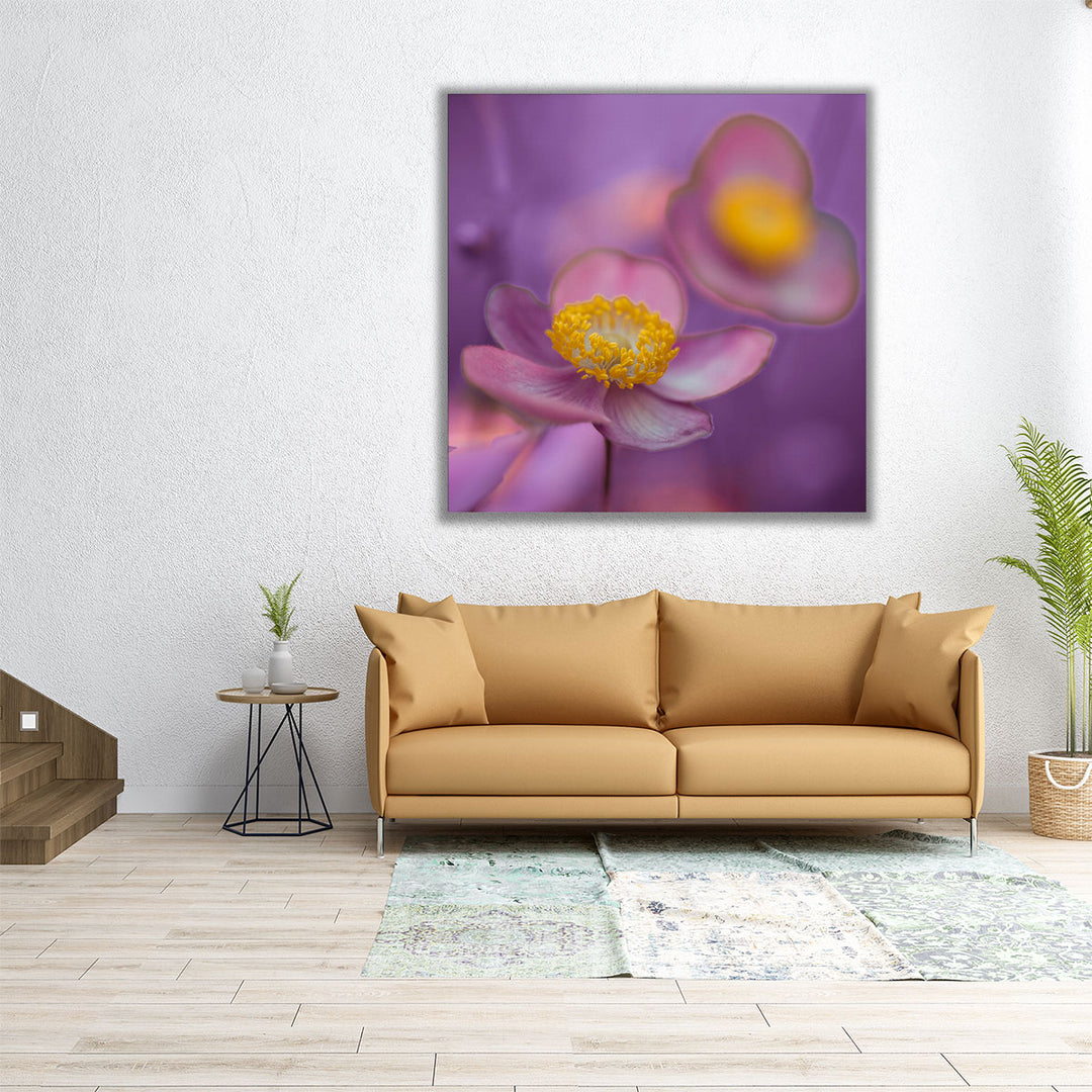 Close-up of Anemone Flowers 1 - Canvas Print Wall Art