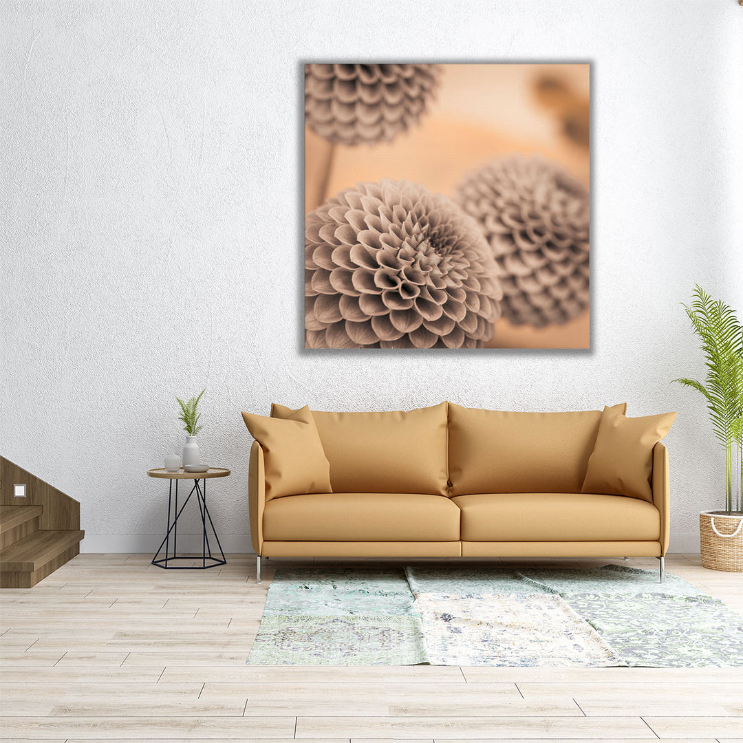 Dahlia Flowers 2 - Canvas Print Wall Art