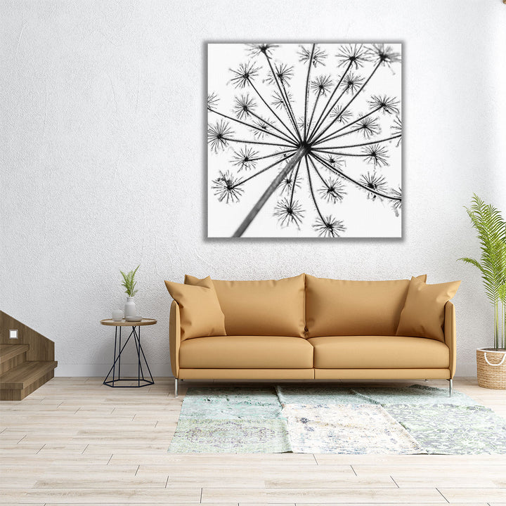 Frosty Cow Parsley - Canvas Print Wall Art