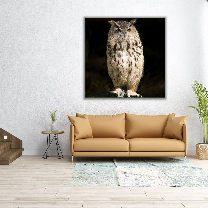 Owl on Black - Canvas Print Wall Art