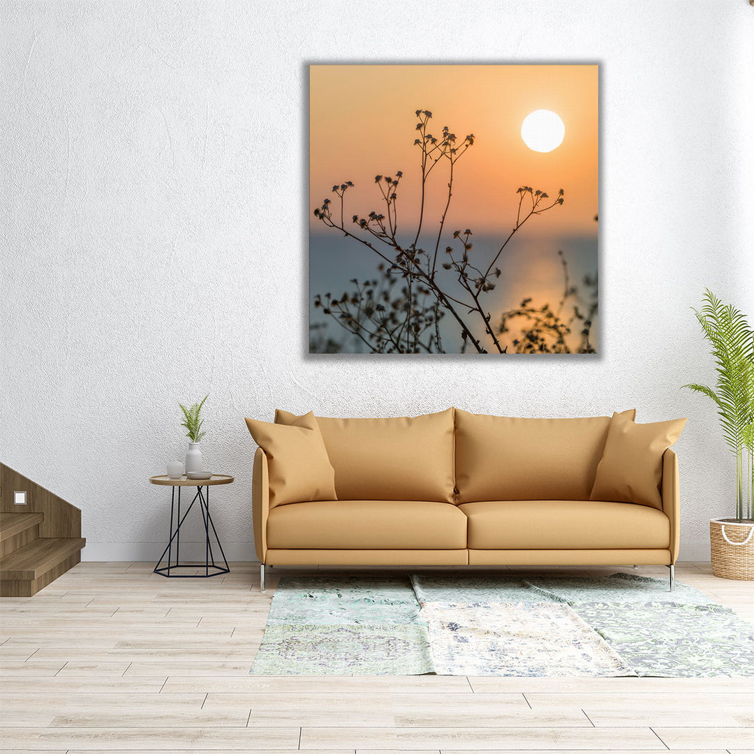 Plants Silhouette - Canvas Print Wall Art