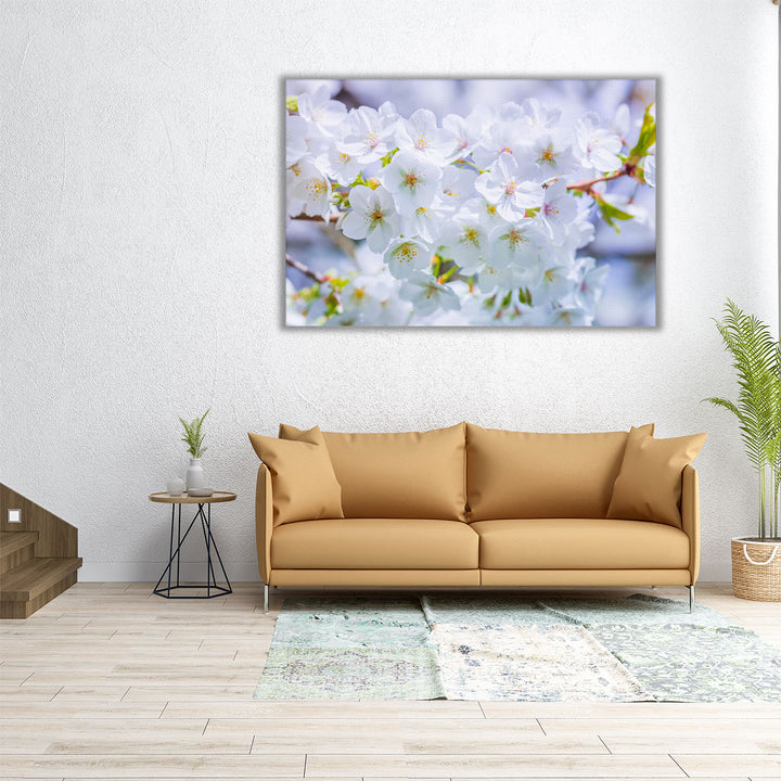 Blossom I - Canvas Print Wall Art