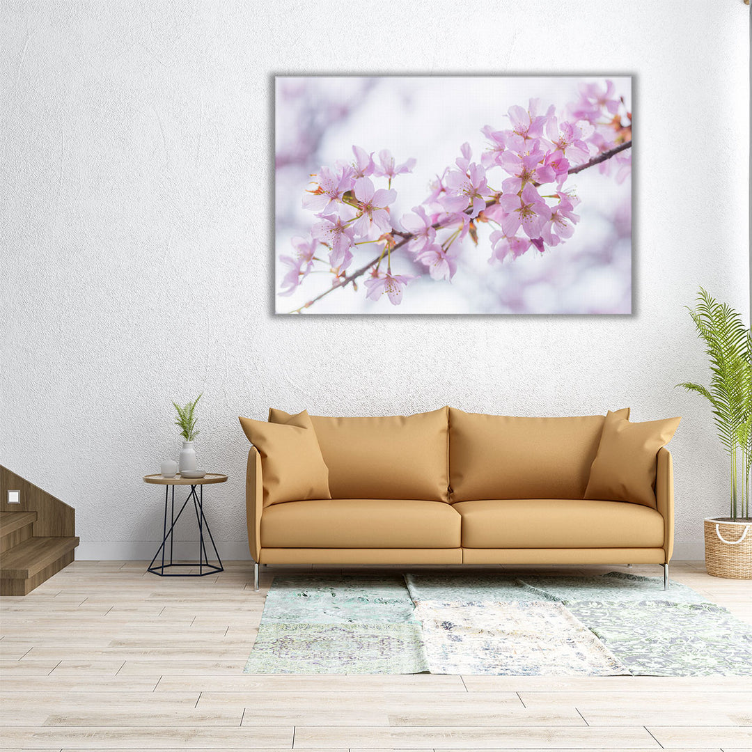 Blossom II - Canvas Print Wall Art