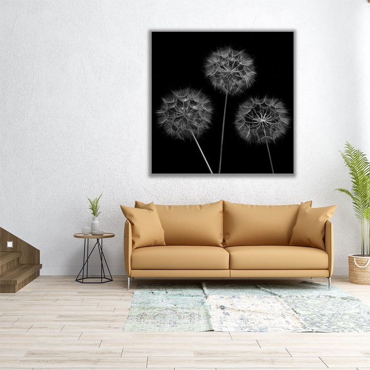 Dandelion Flowers - Canvas Print Wall Art