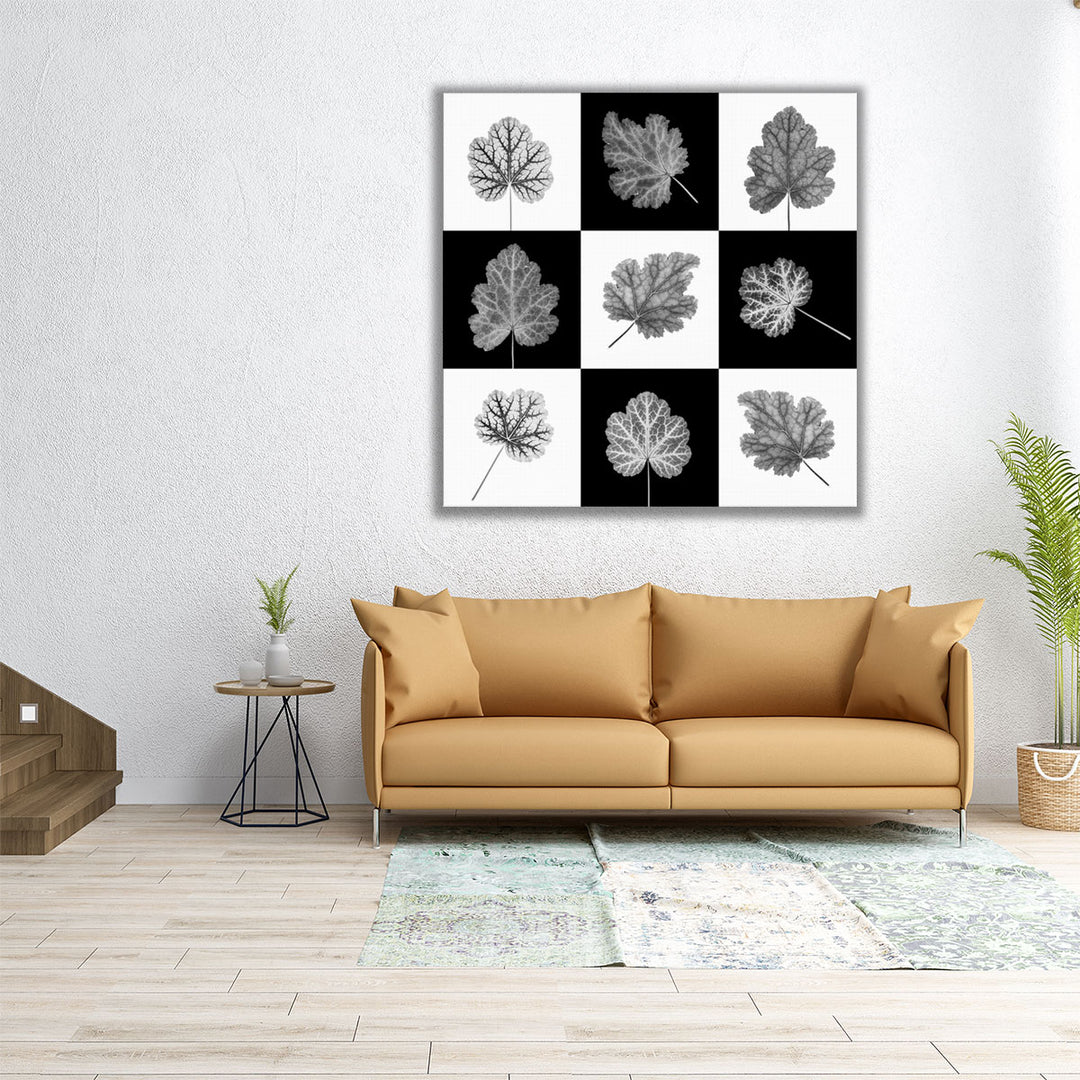 Heuchera Leaf Collage - Canvas Print Wall Art