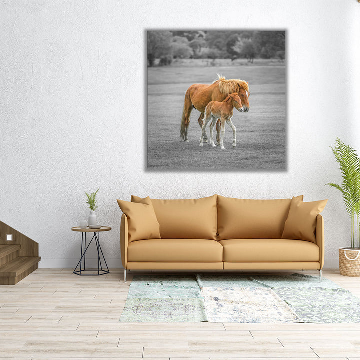 Horse with Foal - Canvas Print Wall Art