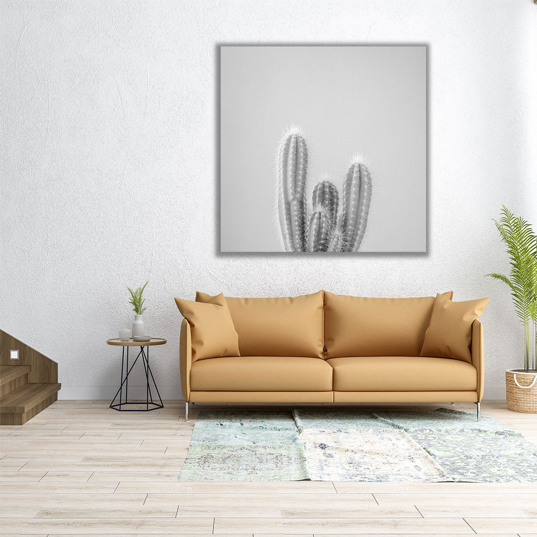 Micranthocereus Estevesii Cactus - Canvas Print Wall Art