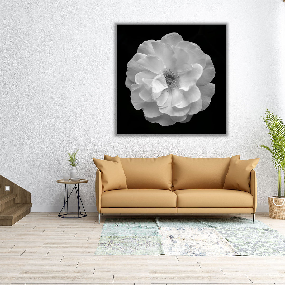 Rose - Canvas Print Wall Art