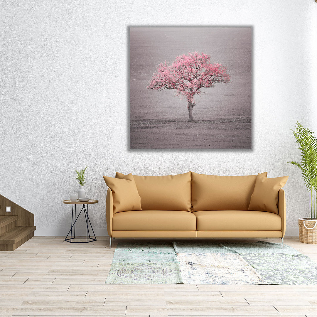 Single Tree in Foggy Grassfield - Canvas Print Wall Art