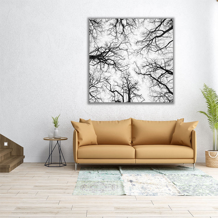 Tree Tops against the Sky - Canvas Print Wall Art