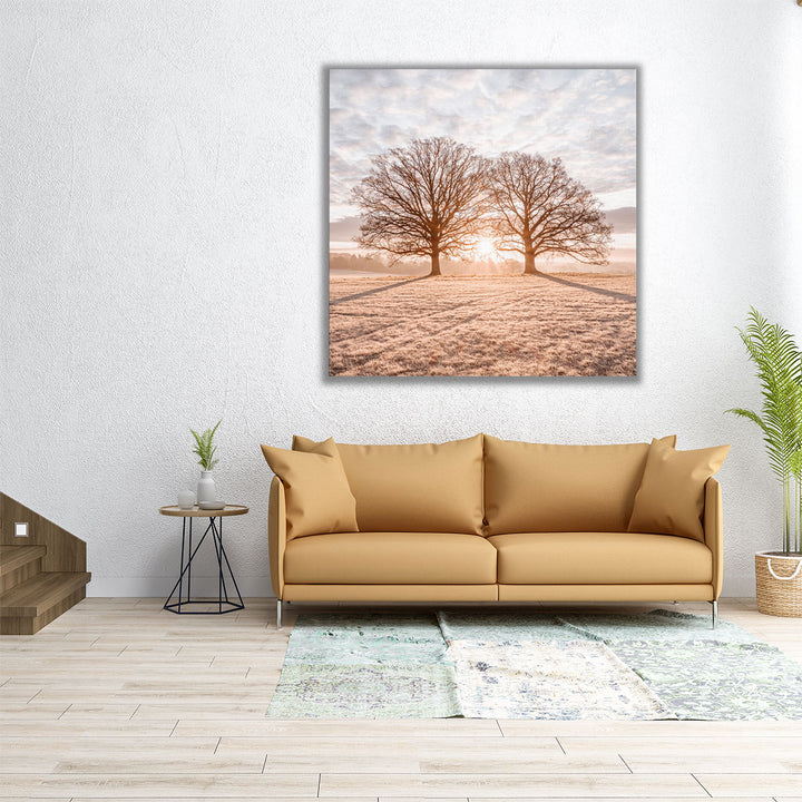 Trees in Meadow - Canvas Print Wall Art