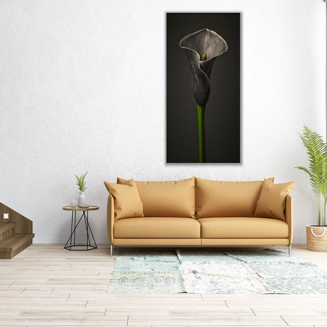 Calla Lilies 1 - Canvas Print Wall Art