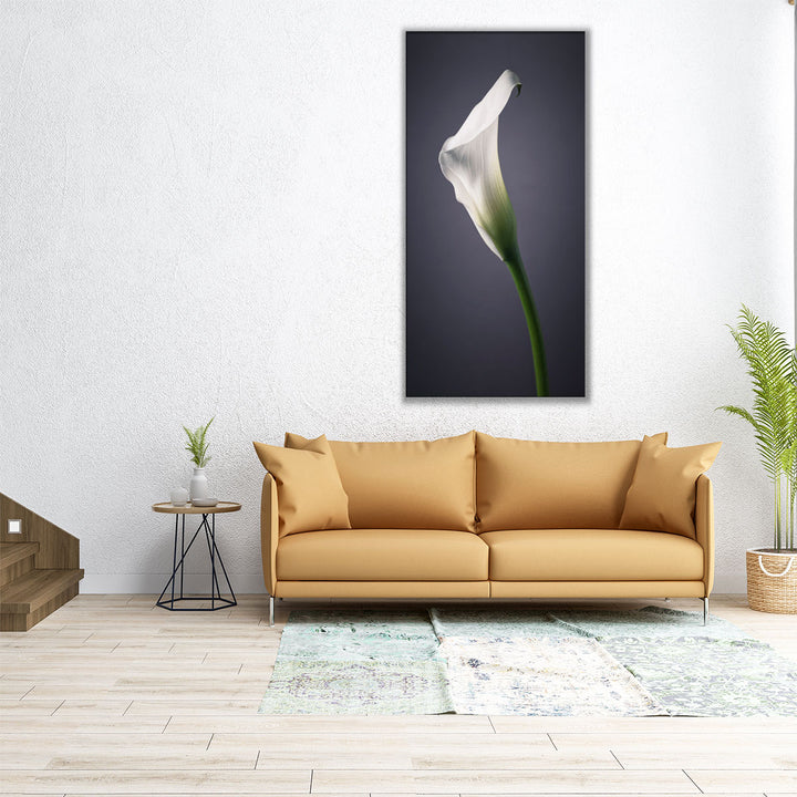 Calla Lilies 2 - Canvas Print Wall Art