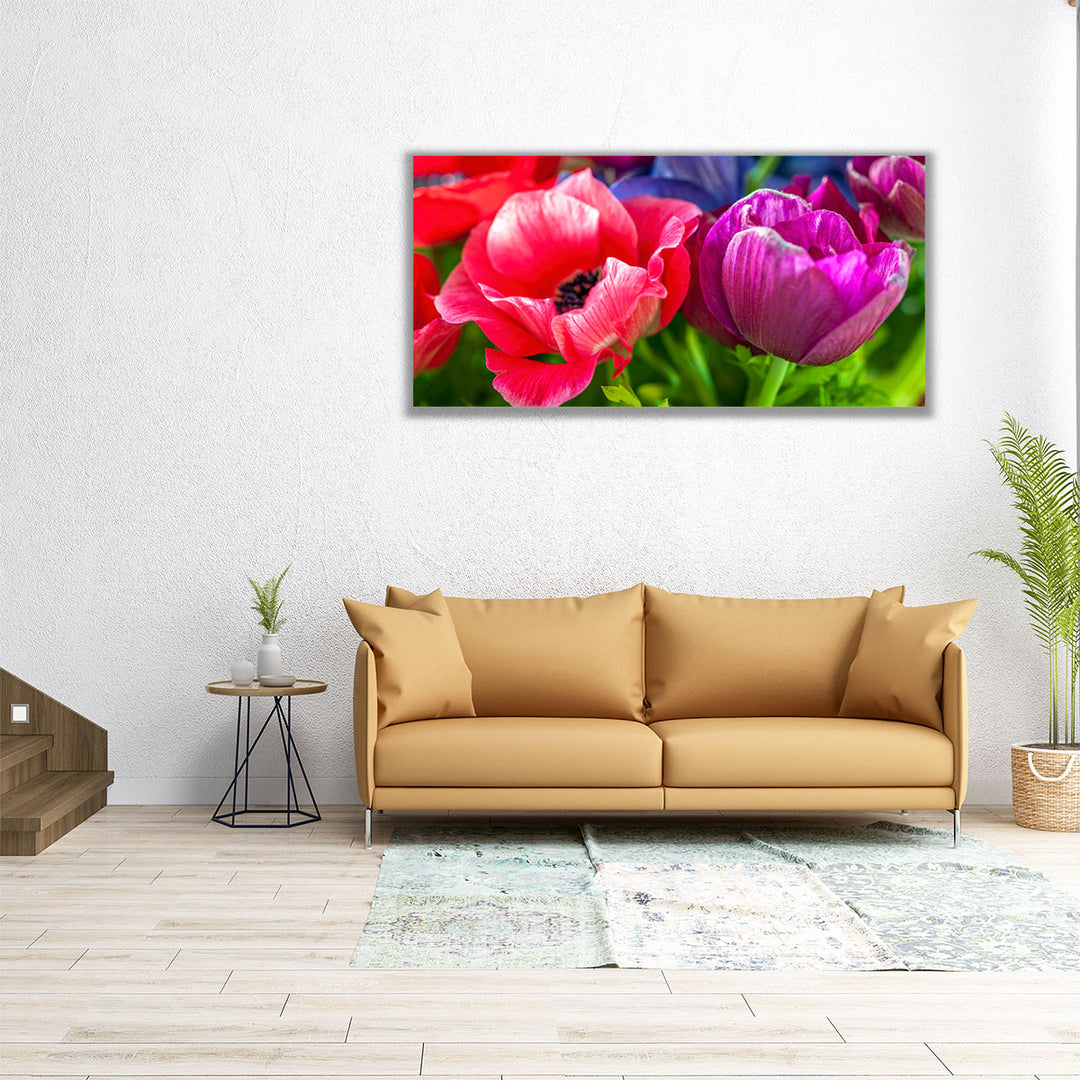 Close-up of Anemone Flowers - Canvas Print Wall Art