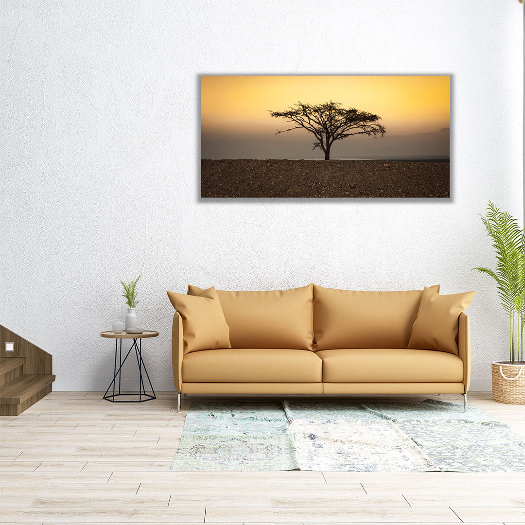 Dry Tree in the Desert near the Dead Sea, Israel - Canvas Print Wall Art