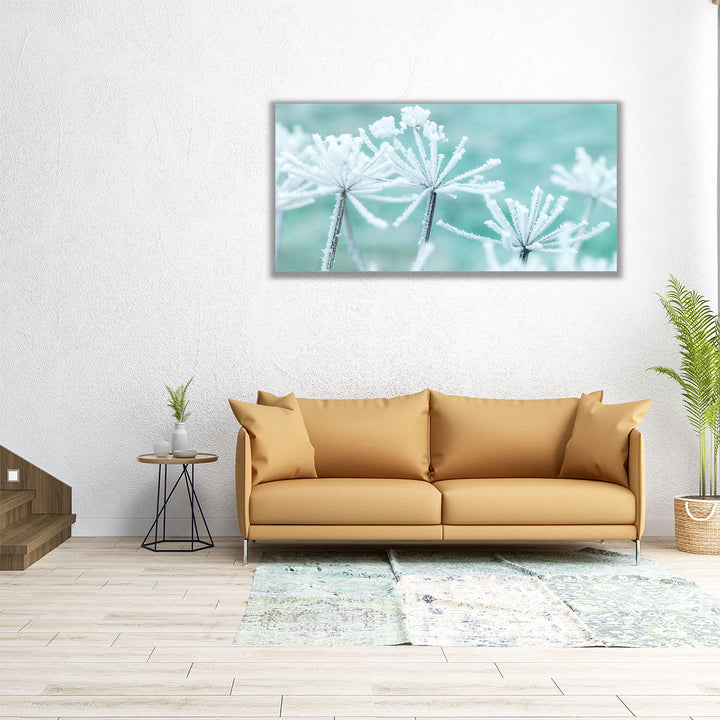 Frosty Cow Parsley - Canvas Print Wall Art