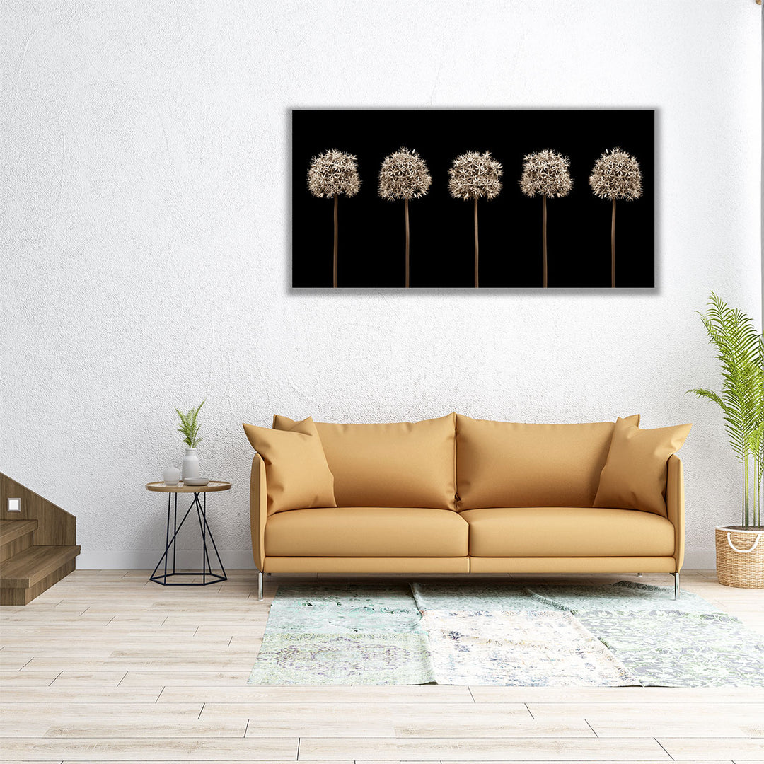 Three Allium Flowers - Canvas Print Wall Art