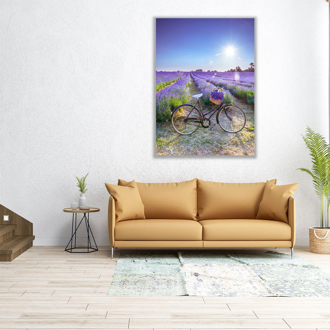 Bicycle With Flowers In A Lavender Field - Canvas Print Wall Art