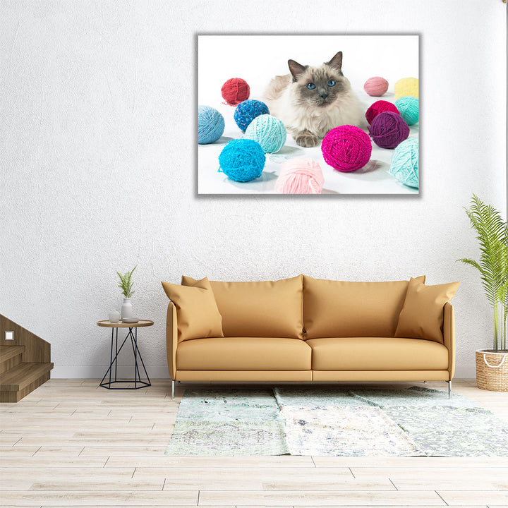 Cat With Balls Of Wool - Canvas Print Wall Art