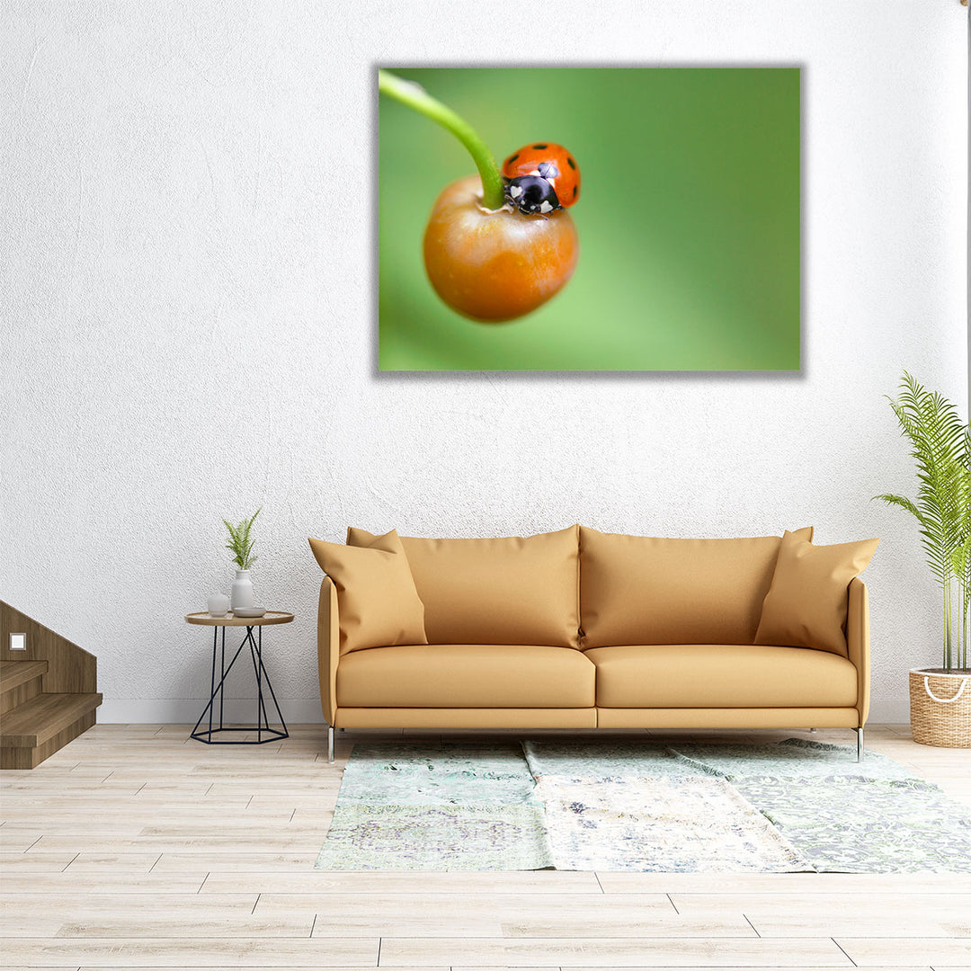 Ladybug On Fruit Close-up - Canvas Print Wall Art