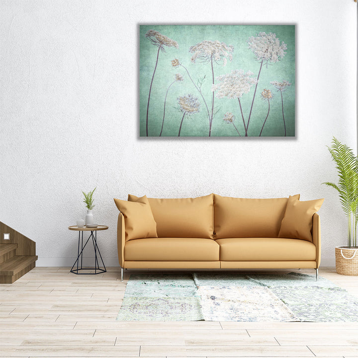 Cow Parsley Flowers 3 - Canvas Print Wall Art