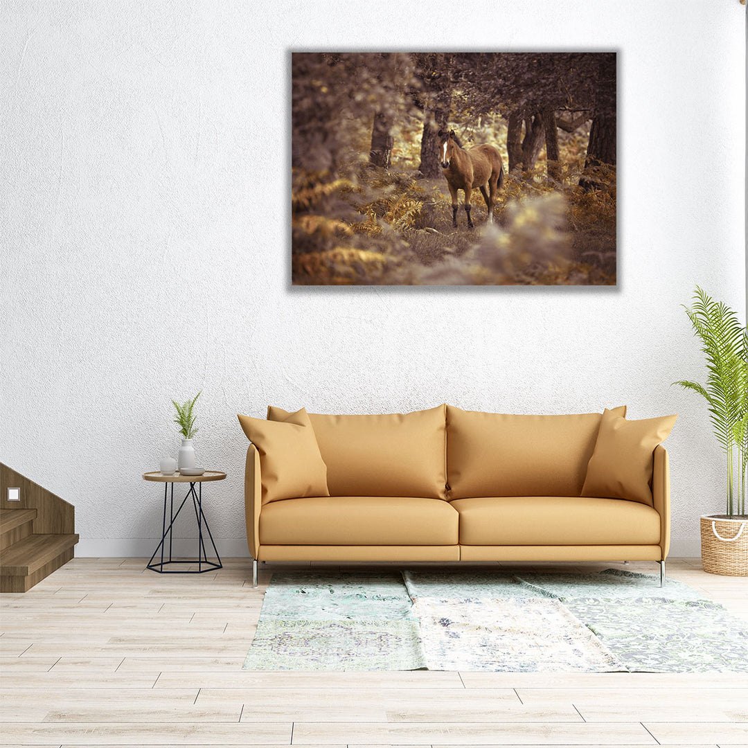 Wild Horse, New Forest - Canvas Print Wall Art