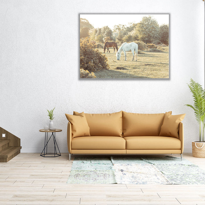 Horses at the New Forest, UK - Canvas Print Wall Art