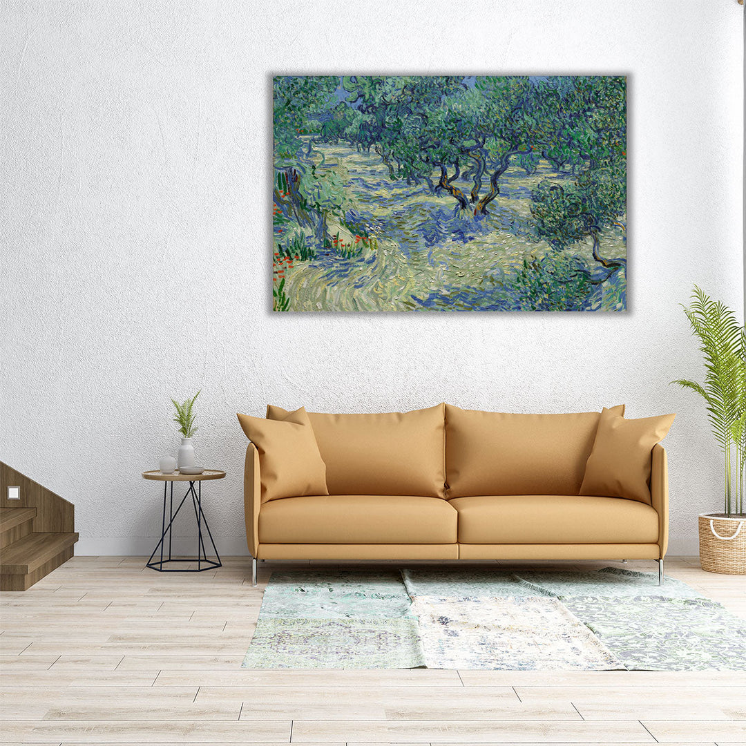 Olive Orchard, 1889 - Canvas Print Wall Art