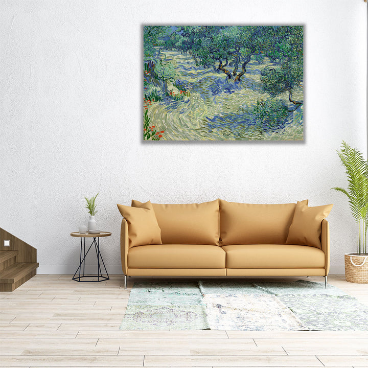 Olive Orchard, 1889 - Canvas Print Wall Art