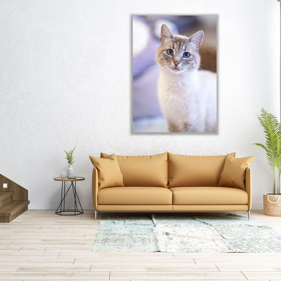 Cute Cat - Canvas Print Wall Art