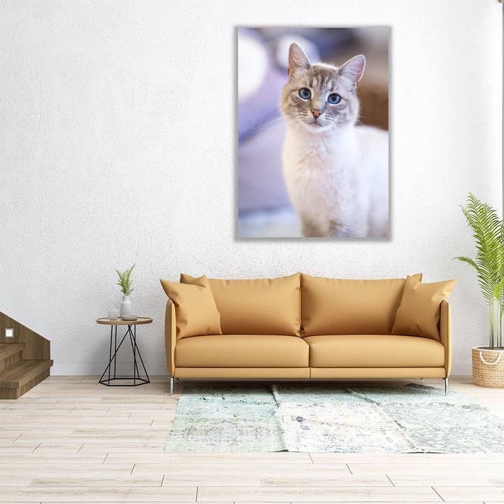 Cute Cat - Canvas Print Wall Art