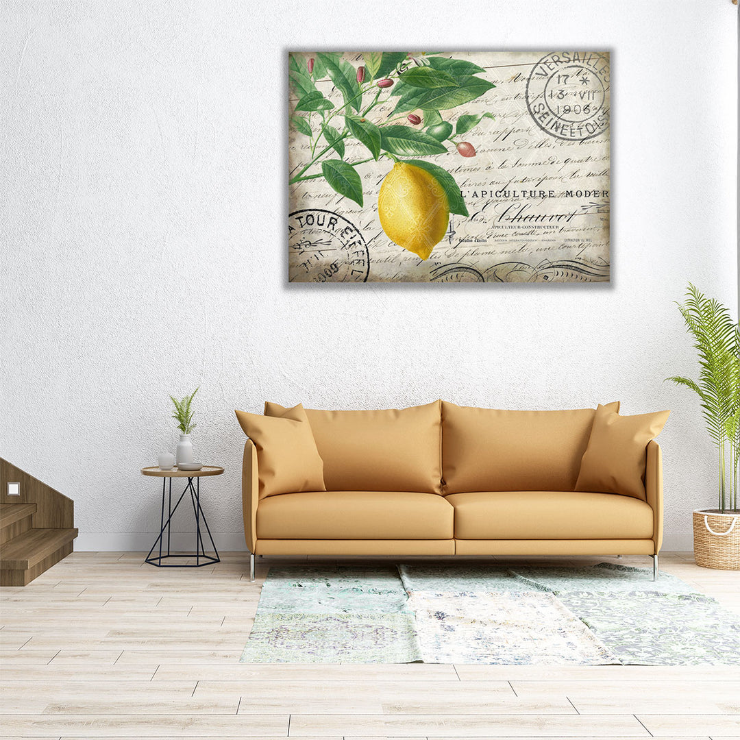 Vintage Lemon- Canvas Print Wall Art