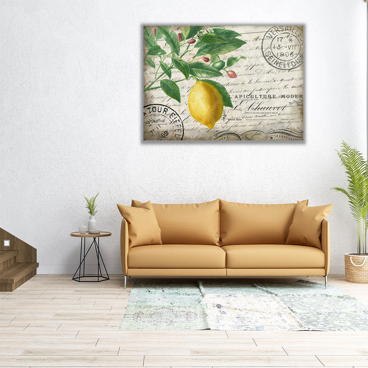 Vintage Lemon- Canvas Print Wall Art