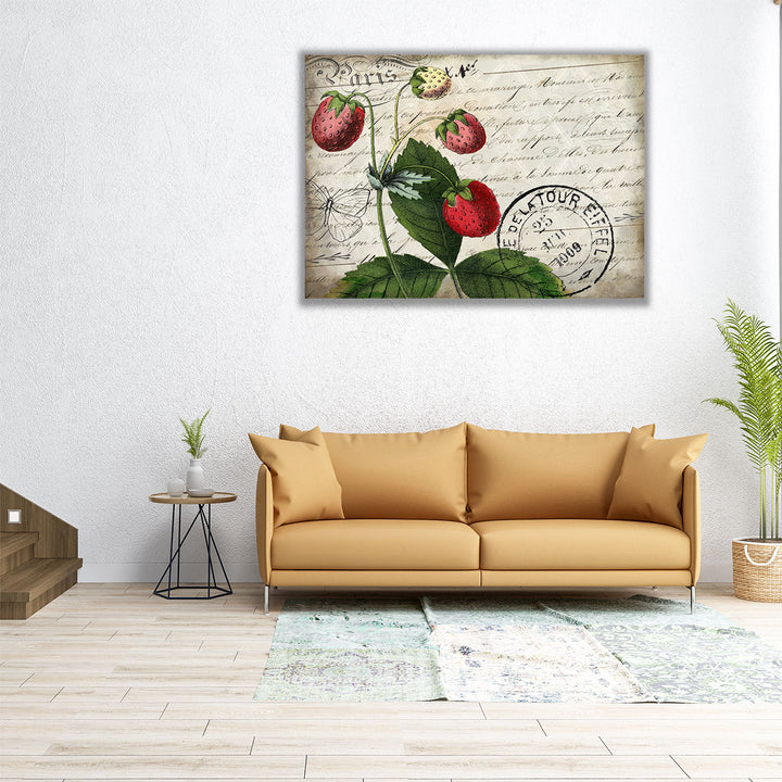 Vintage Strawberry - Canvas Print Wall Art