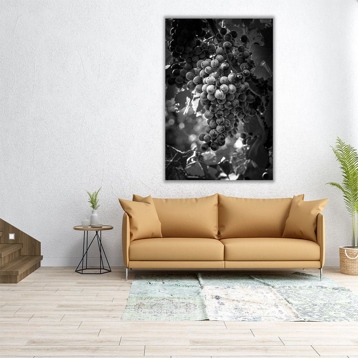 Fruit of The Vine - Canvas Print Wall Art