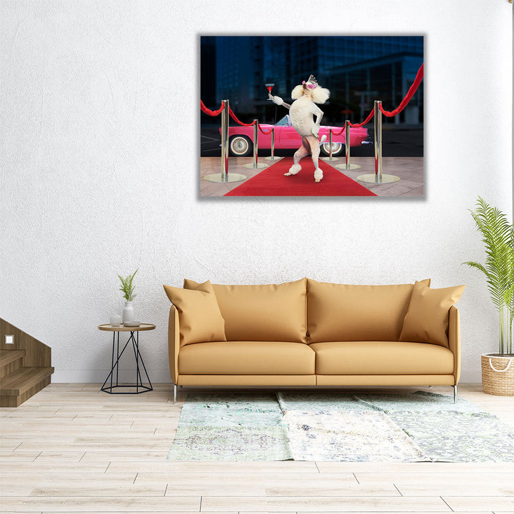 Poodle Premier - Canvas Print Wall Art
