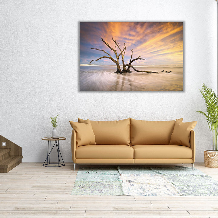 Folly Beach, Dead Tree Driftwood Ocean Sunset Landscape - Canvas Print Wall Art