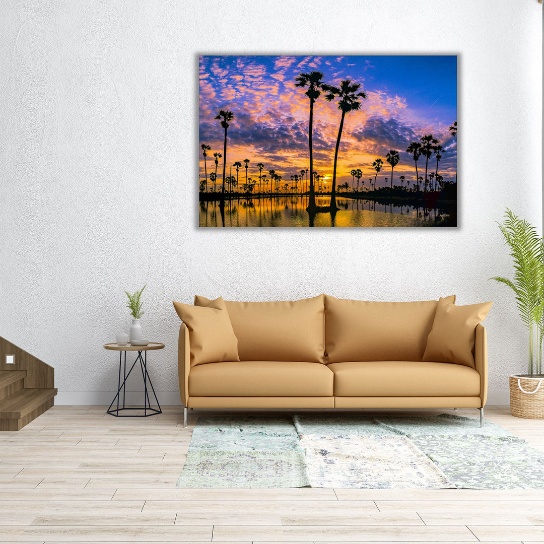 Sugar Palm Trees on The Paddy Field in Sunrise, Thani, Thailand - Canvas Print Wall Art