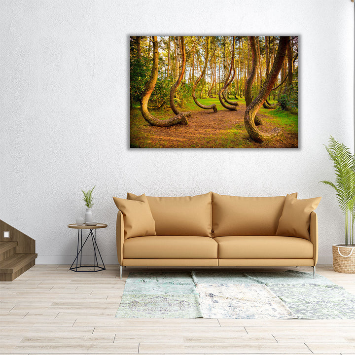 The Famous Gryfino Mysteriously Curved Pine Trees - Canvas Print Wall Art