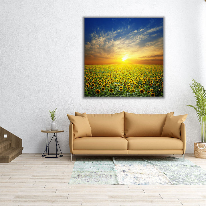 Summer Landscape, Sunset Over Sunflowers Field - Canvas Print Wall Art