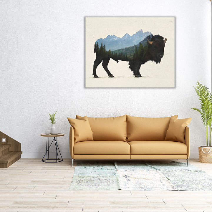 Grand Teton Bison - Canvas Print Wall Art