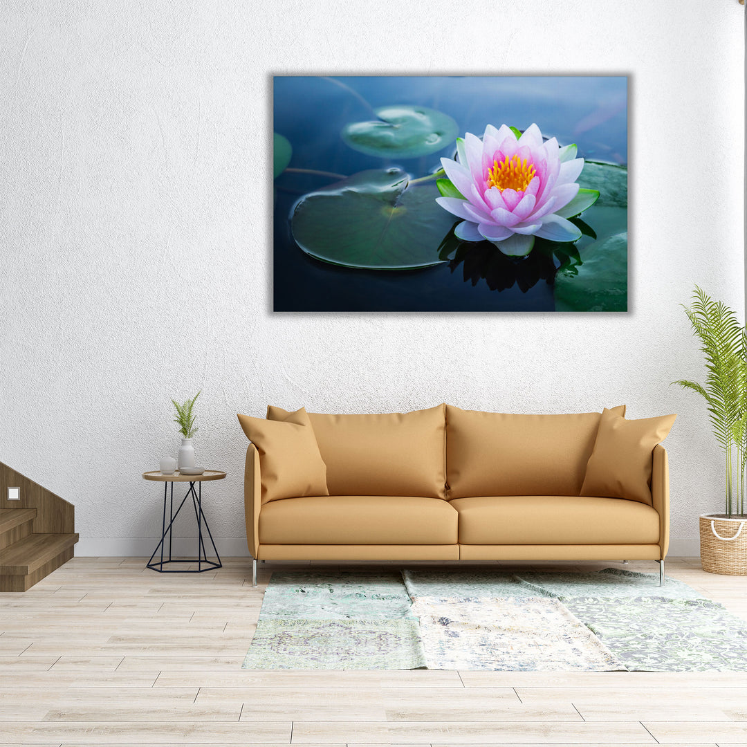 Beautiful Waterlily Flower in a Pond - Canvas Print Wall Art
