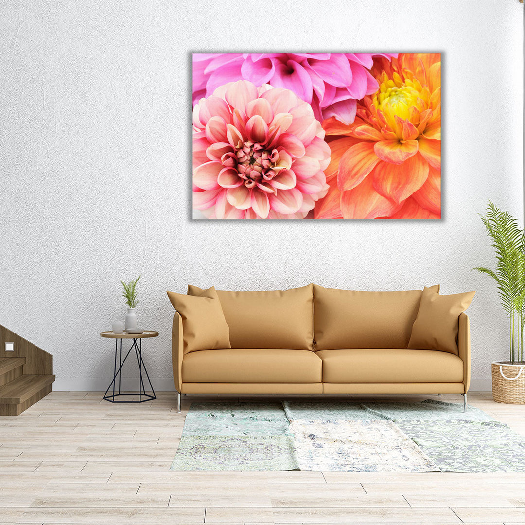 Beautiful Multicolored Dahlias Close-up - Canvas Print Wall Art