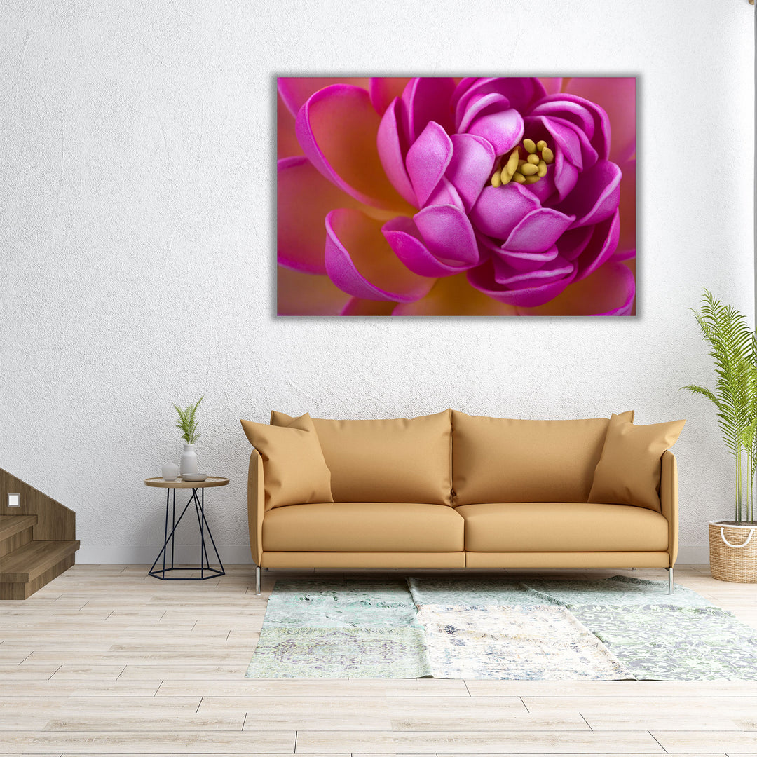 Beautiful Pink Lotus Flower Close-Up - Canvas Print Wall Art