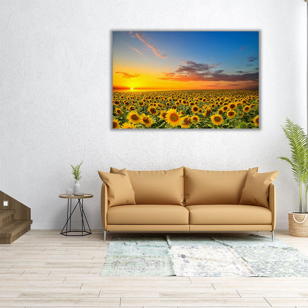 Blooming Sunflowers During Sunset - Canvas Print Wall Art