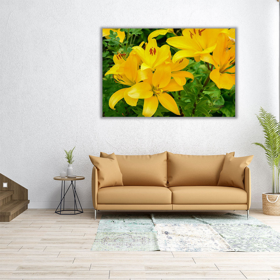 Blooming Yellow Lily Flowers - Canvas Print Wall Art