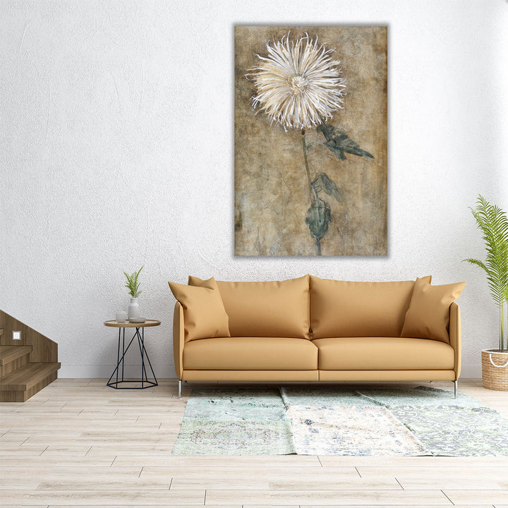 Chrysanthemum, 1900 - Canvas Print Wall Art