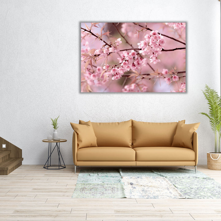 Cherry Blossom or Sakura Flower - Canvas Print Wall Art