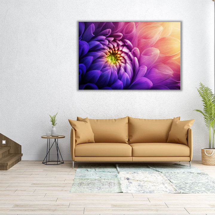 Chrysanthemum Flower Macro Shot - Canvas Print Wall Art